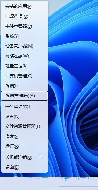 Win11 22H2重置后应用商店不见了怎么办? Win11没有应用商店的解决办法(win11重置win10)  第2张