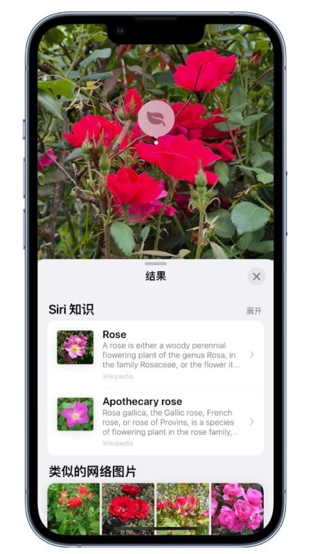 iOS 17如何使用看图查询 17看图查询功能使用方法(ios用什么看)  第2张
