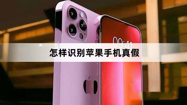 怎样识别苹果手机真假 iphone手机正品鉴别教程(怎样识别苹果手表真假)  第1张