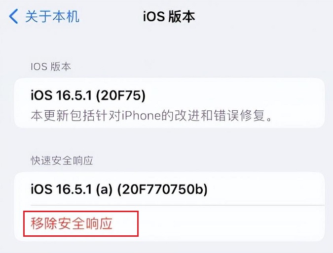 iOS16.5.1a快速安全响应更新发布 升降级超方便！(ios16怎么更新)  第3张