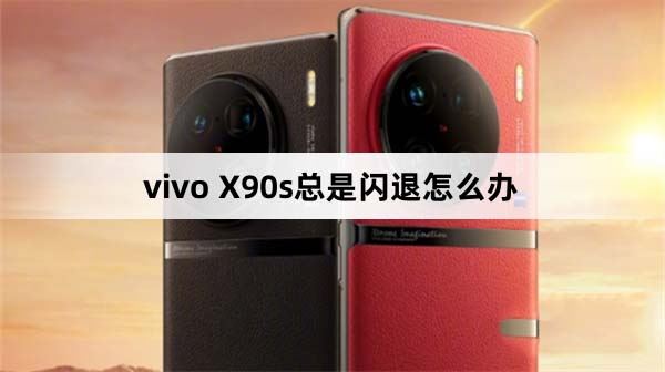 vivo X90s总是闪退怎么办 X90s软件闪退的解决办法(vivo总闪退怎么回事)  第1张