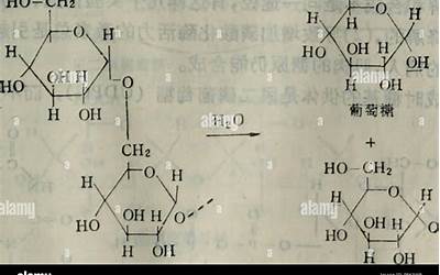 短信笑话（短信笑话大全 爆笑）  第1张