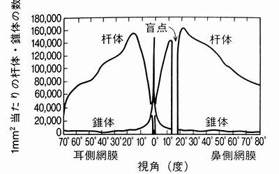 如何设置网页字体大小一致（如何设置网页字体大小）