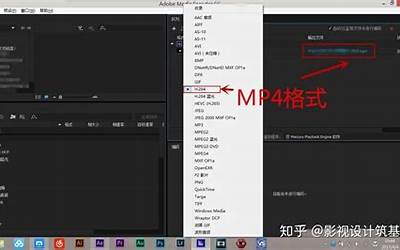 wfp转换mp4（wrf转换成mp4）  第1张