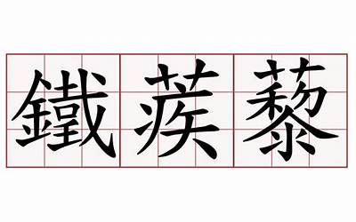 贵阳市人才市场官网招聘信息（贵阳市人才市场官网）