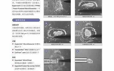 植物医生加盟费多少钱（植物医生加盟费多少）