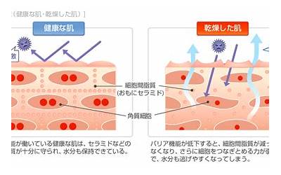 牧原股份：8月生猪销售收入108.07亿元  第1张