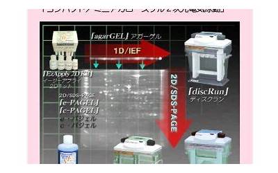 泓博医药：公司团队具备液相多肽合成及固相多肽合成能力