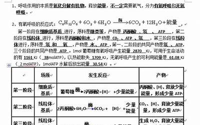 16进制转换器中文（16进制转换器）