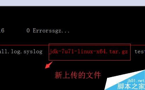 linux系统怎么用SecureCRT上传和下载文件?  第5张