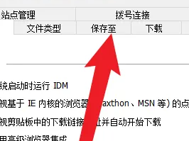 IDM怎么更改下载路径？IDM更改下载路径的方法  第4张