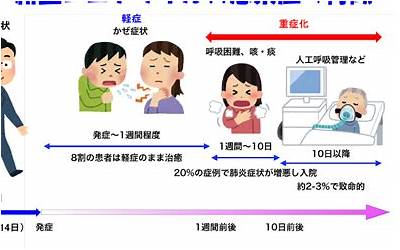 metmsk添加合约地址(metmsk手机版使用方法)