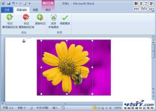 Word2010如何删除图片背景  第2张