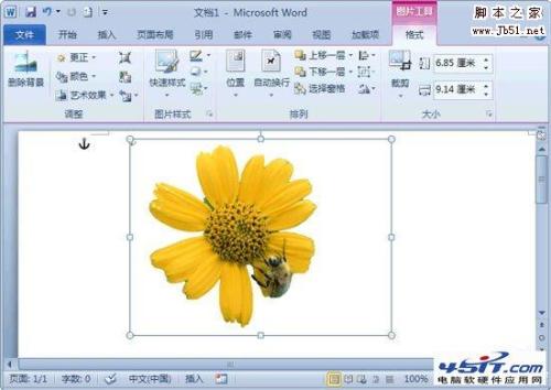 Word2010如何删除图片背景  第3张