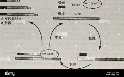 telegrm怎样用账号登录(telegrm好玩的关注)