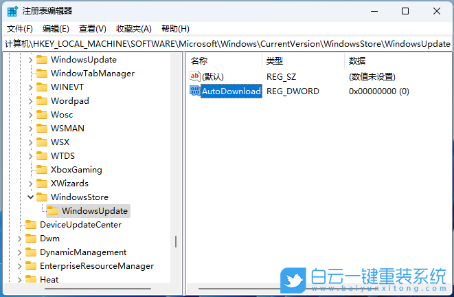 Win11改注册表禁用Microsoft Store应用更新(win10修改注册表禁止更新)  第7张