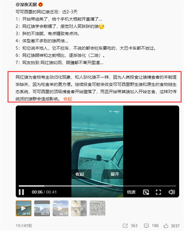 可可西里网红狼带了新狼来蹭吃：人类继续投喂可改变当地食物链生态  第5张