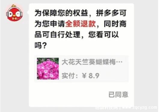 拼多多为什么纵容仅退款，为了留住消费者导致部分商家亏损  第1张