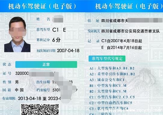 电子驾照怎么申请，在交管12123APP中点击驾驶证电子版申领  第4张