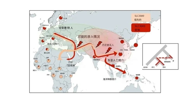 tp钱包下载:狂野的原始人：随意与其它人种交配 坑苦了现代人的健康  第5张