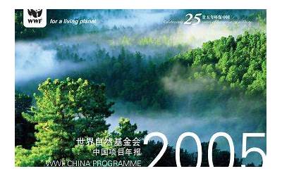 诺基亚2005年,诺基亚：挑战和机遇，展望未来  第1张