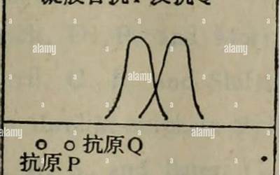 摩托罗拉手机系列,摩托罗拉手机大爆发：全新推出的手机系列限时促销！  第1张