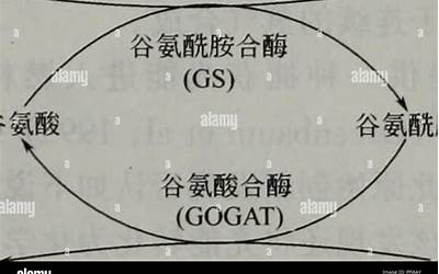 苹果6手机换电池多少钱,苹果6更换电池的收费是多少？  第1张