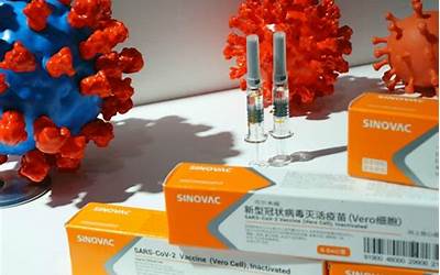 性能好的5g手机排行榜（中国Q3最快5G手机排名）  第1张