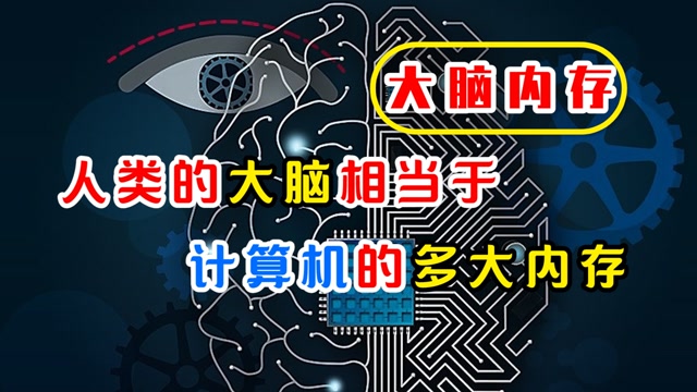 CPU 内存硬盘：计算机的大脑、记忆力和永久存储，谁才是最重要的？  第1张