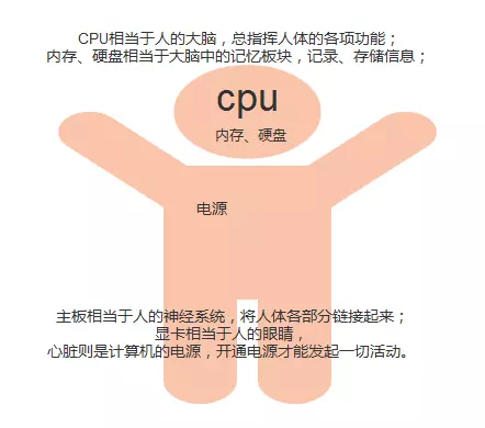 CPU 内存硬盘：计算机的大脑、记忆力和永久存储，谁才是最重要的？  第2张