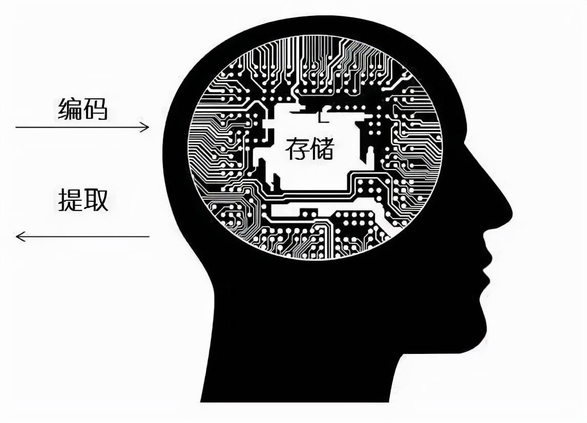 CPU 内存硬盘：计算机的大脑、记忆力和永久存储，谁才是最重要的？  第6张