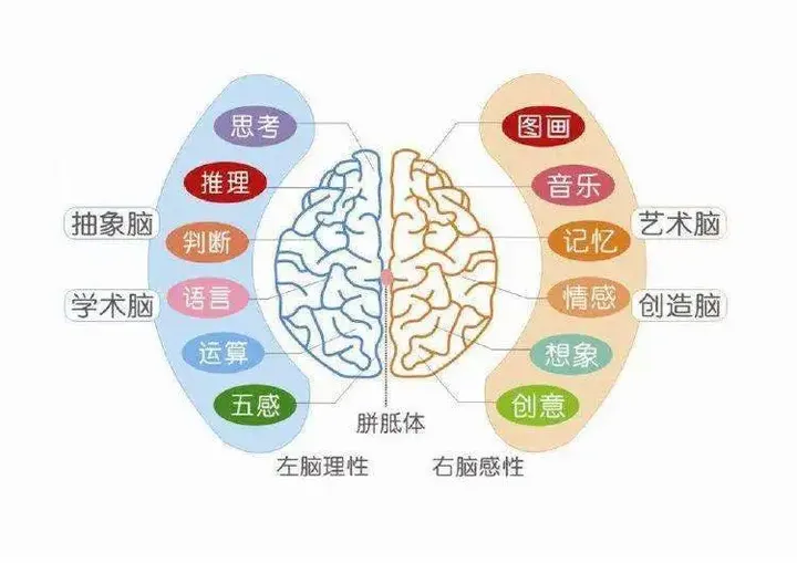 高频内存：大脑的升级利器  第3张