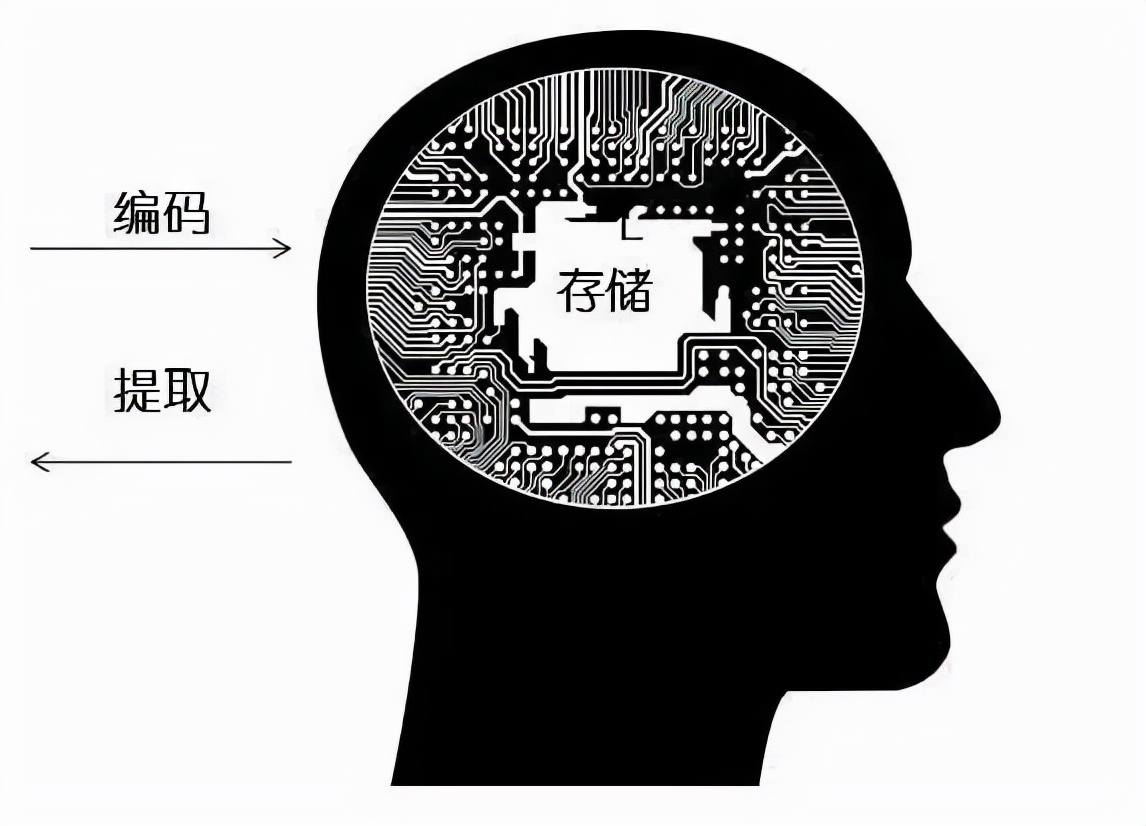 内存VS硬盘：计算机速度的保障和数据的长期守护  第5张