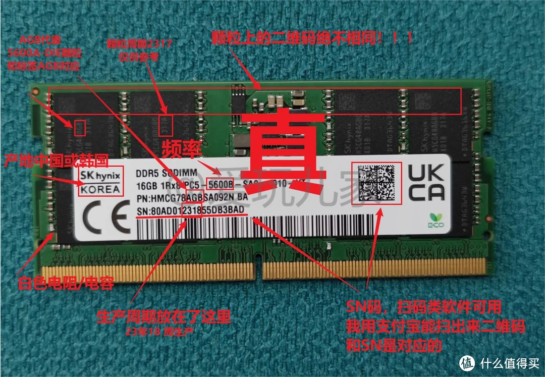 爆款内存条！稳定快速，性价比超高  第1张