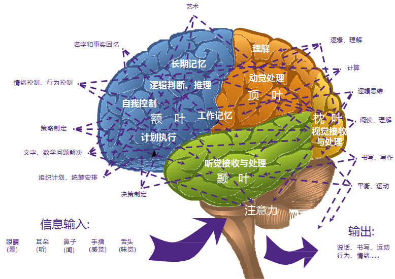 大脑锻炼神器！芝奇内存测试让你记忆力飙升、思维如闪电  第2张