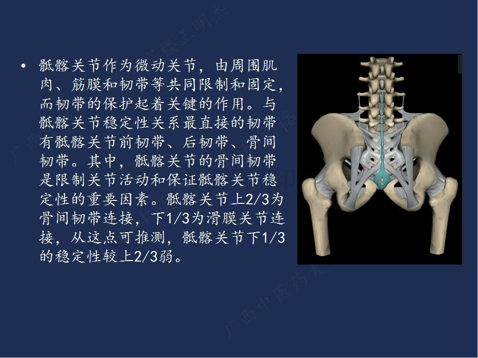 内存界的黑马：阿扎赛尔内存体验告诉你什么是真正的高性能  第1张