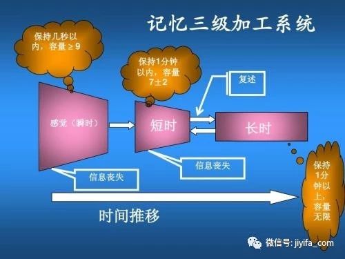 记忆力提升三部曲，学霸秘笈大揭秘