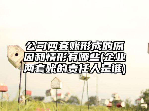 公司两套账形成的原因和情形有哪些(企业两套账的责任人是谁)