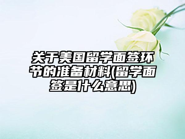 关于美国留学面签环节的准备材料(留学面签是什么意思)