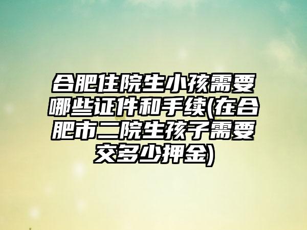 合肥住院生小孩需要哪些证件和手续(在合肥市二院生孩子需要交多少押金)