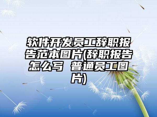 软件开发员工辞职报告范本图片(辞职报告怎么写 普通员工图片)