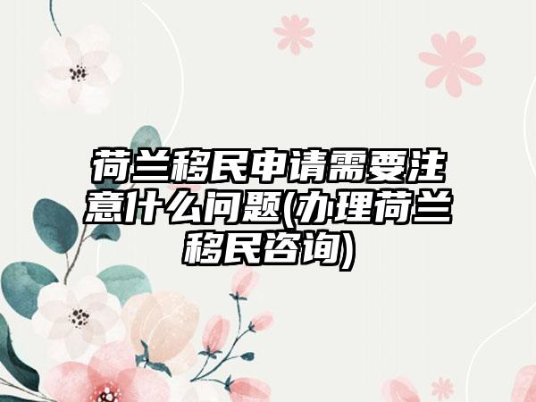 荷兰移民申请需要注意什么问题(办理荷兰移民咨询)