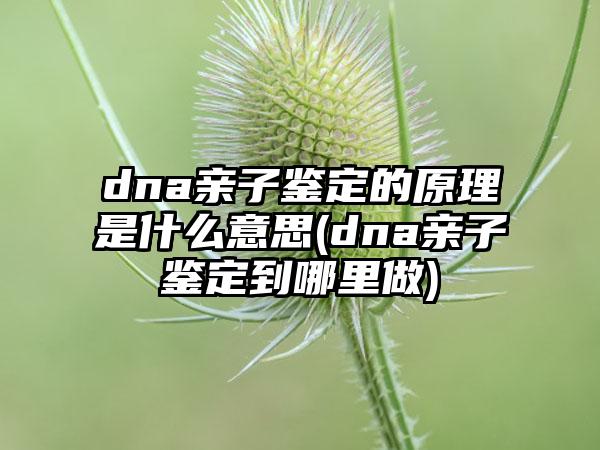 dna亲子鉴定的原理是什么意思(dna亲子鉴定到哪里做)