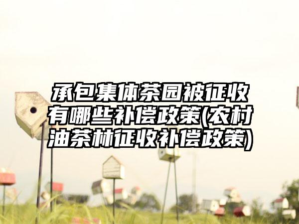 承包集体茶园被征收有哪些补偿政策(农村油茶林征收补偿政策)