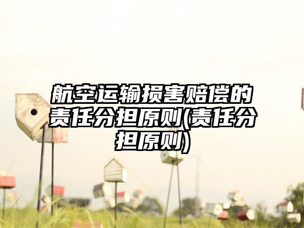 航空运输损害赔偿的责任分担原则(责任分担原则)  第1张