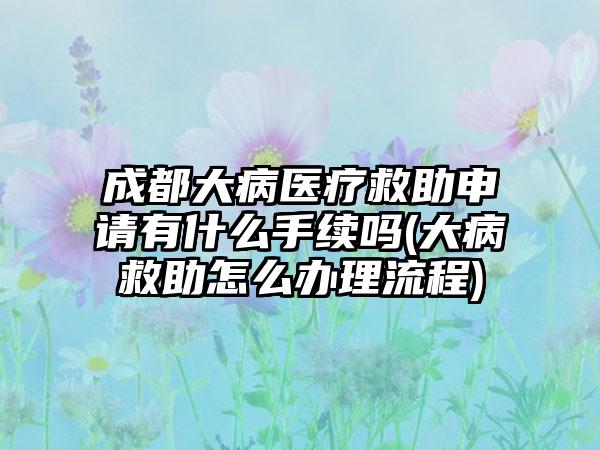 成都大病医疗救助申请有什么手续吗(大病救助怎么办理流程)  第1张