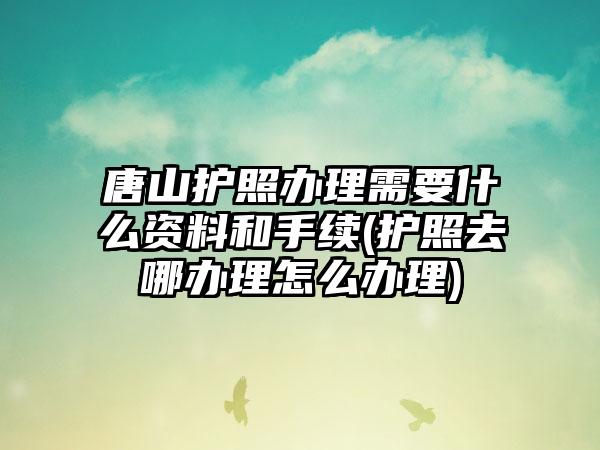 唐山护照办理需要什么资料和手续(护照去哪办理怎么办理)  第1张