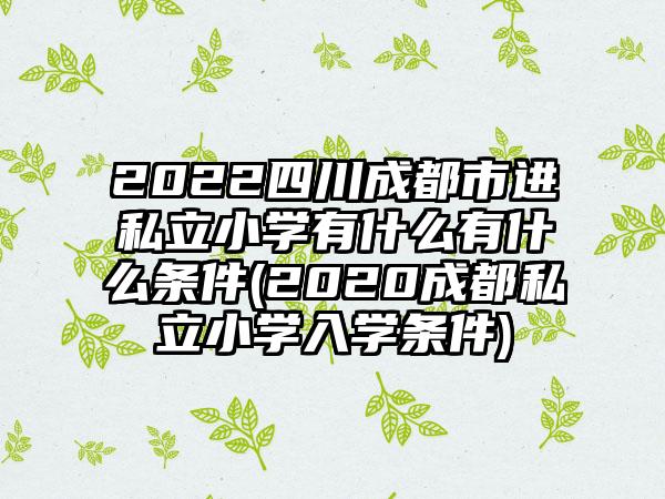 2022四川成都市进私立小学有什么有什么条件(2020成都私立小学入学条件)