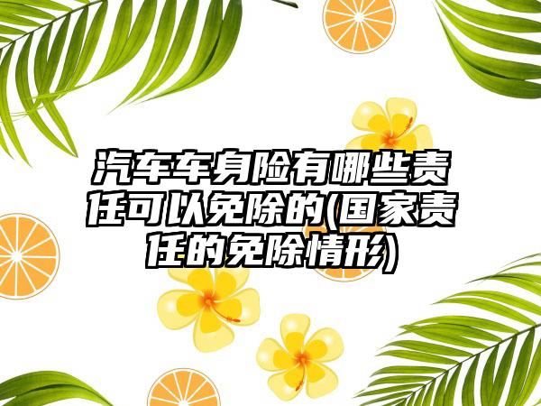 汽车车身险有哪些责任可以免除的(国家责任的免除情形)