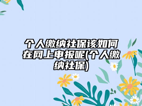 个人缴纳社保该如何在网上申报呢(个人缴纳社保)